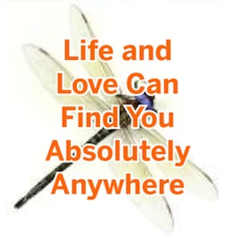 Life and love can find you absolutely anywhere