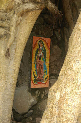 Virgin of Guadalupe in Amate tree